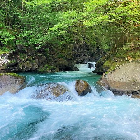 Grand T2 4 Voyageurs Tout Confort Cauterets Dış mekan fotoğraf