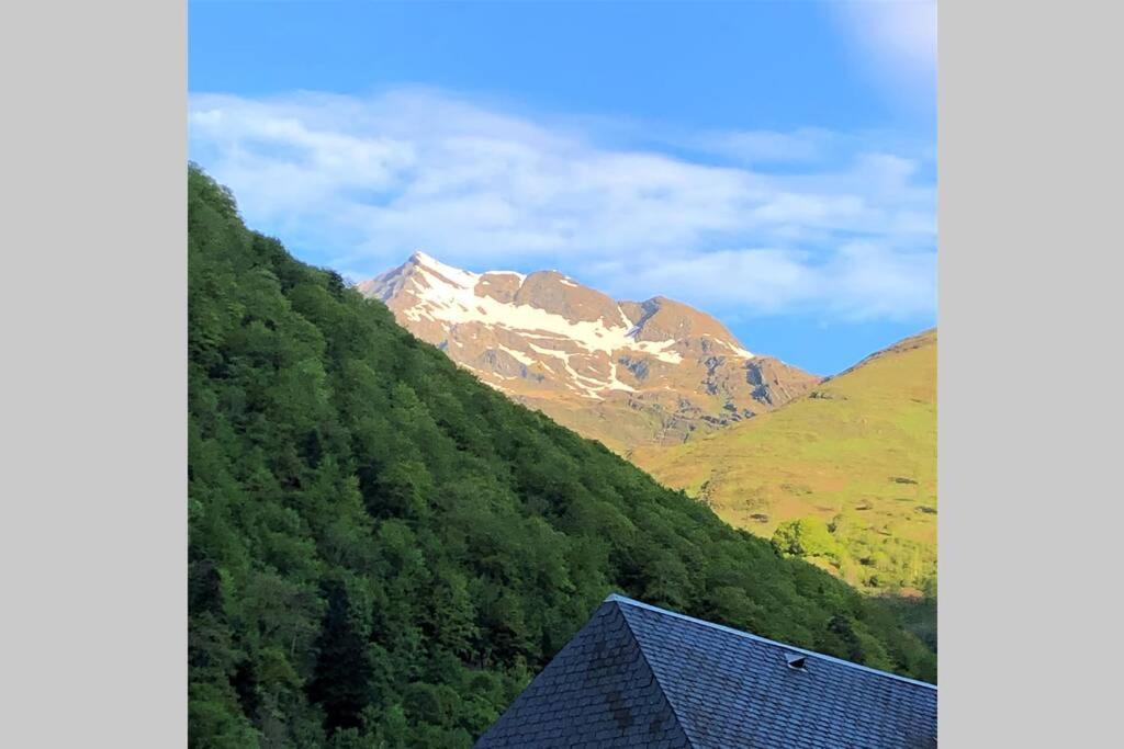 Grand T2 4 Voyageurs Tout Confort Cauterets Dış mekan fotoğraf