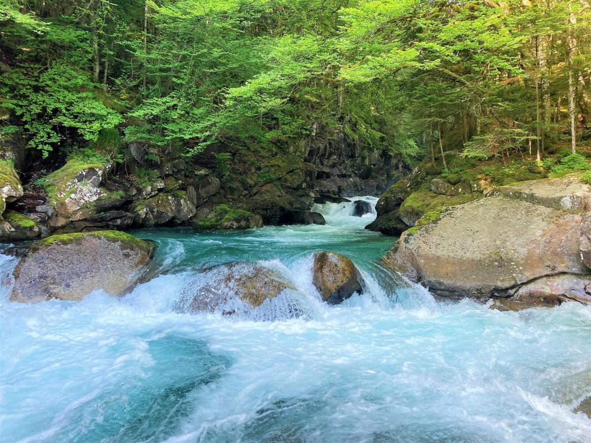 Grand T2 4 Voyageurs Tout Confort Cauterets Dış mekan fotoğraf